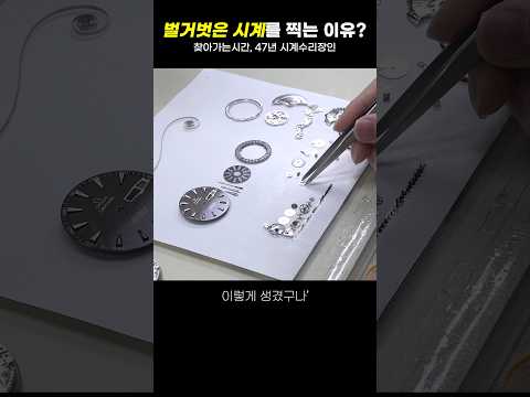 롤렉스 사진을 찍는 이유 #shorts #롤렉스 #시계
