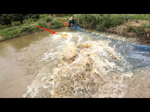 VEJA SÓ OQUE ESSE HOMEM FEZ QUANDO VIU O PEIXE ESCAPANDO DA REDE