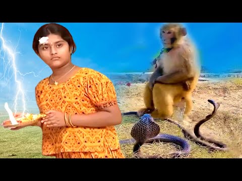 सांप और बन्दर क्यों पहुंचे अंजना से मिलने @laxaminarayan-japtapvratt7537