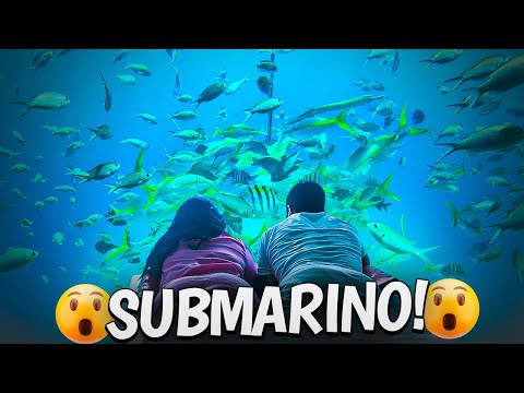 ENTRAMOS EM UM SUBMARINO COM UM SHOW DE PEIXES 😲