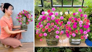 A small garden full of flowers with simple planting  Creative planting for hot days