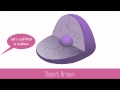 Cell Biology Concepts and Discoveries
