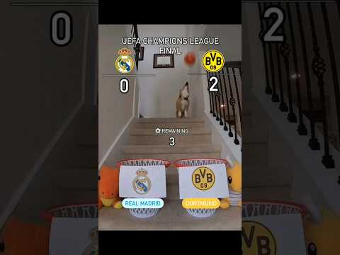 ريال مدريد ضد بروسيا دورتموند 👑 real madrid vs dortmund #shorts #realmadrid #dortmund