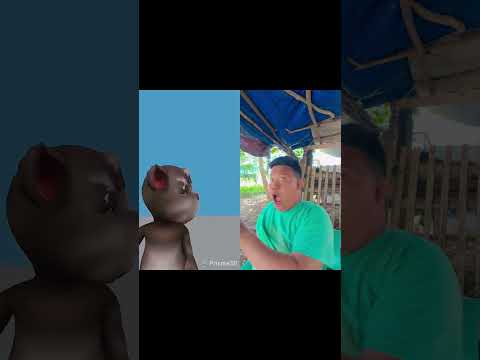 #memes #<strong>cat</strong> #<strong>animation</strong> #talkingtom #noads #duet #usa #funny #asthetic #quiztime #trend