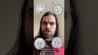 Отчёт о погоде. 23 февраля 2025 года. Воскресенье. Владивосток. // #отчёт #пауки #циклокосмия #паук