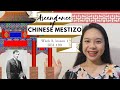 Chinese Mestizos in Philippine History