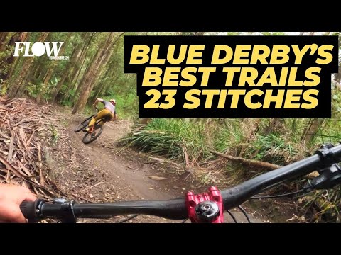 Jumps Jumps and more Jumps | Blue Derby’s 23 Stitches