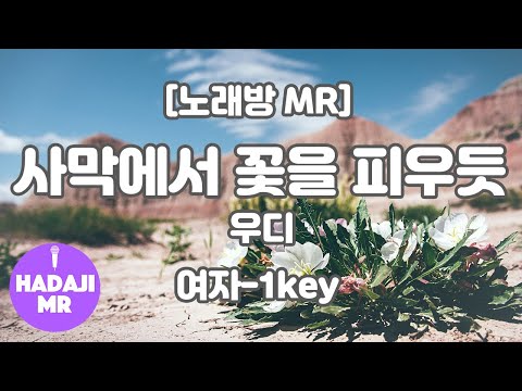 [하다지노래방] 우디 – 사막에서 꽃을 피우듯 MR (F 여자-1key) / 하다지MR