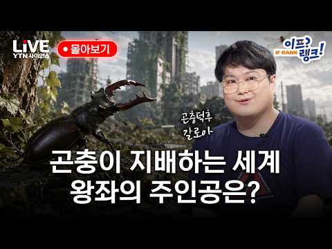 곤충이 지배하는 세계! '최강자 후보'부터 한반도를 위협할 '최악의 외래종'까지｜이프랭크 몰아보기 [반복재생] / YTN 사이언스