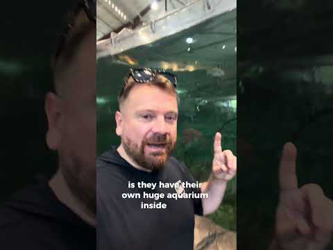 The USA has waterfalls inside the store
