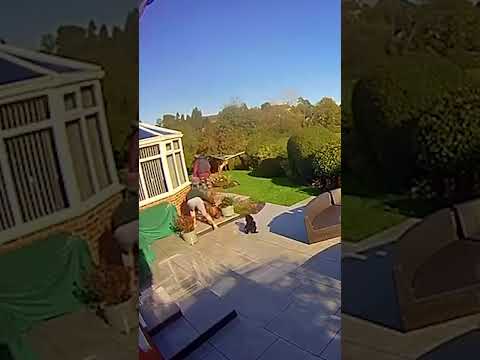 That’s the last time he does some gardening 🤣 (🎥: CONTENTbible)