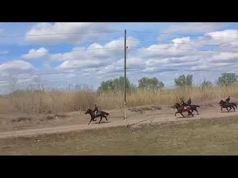 23.03.2025 Ağcəbədi Yorğa atlar biriniliyi Baş yarış 1 🏆 Hako (Gəncə) 2 🥈Sərxoş (Laçın)