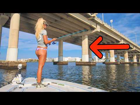 Fishing massive structure for dinner! (catch & cook) video thumbnail