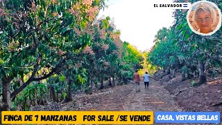 Million Dollar View, Seven Manzanas Property FOR SALE With House in El Salvador. 