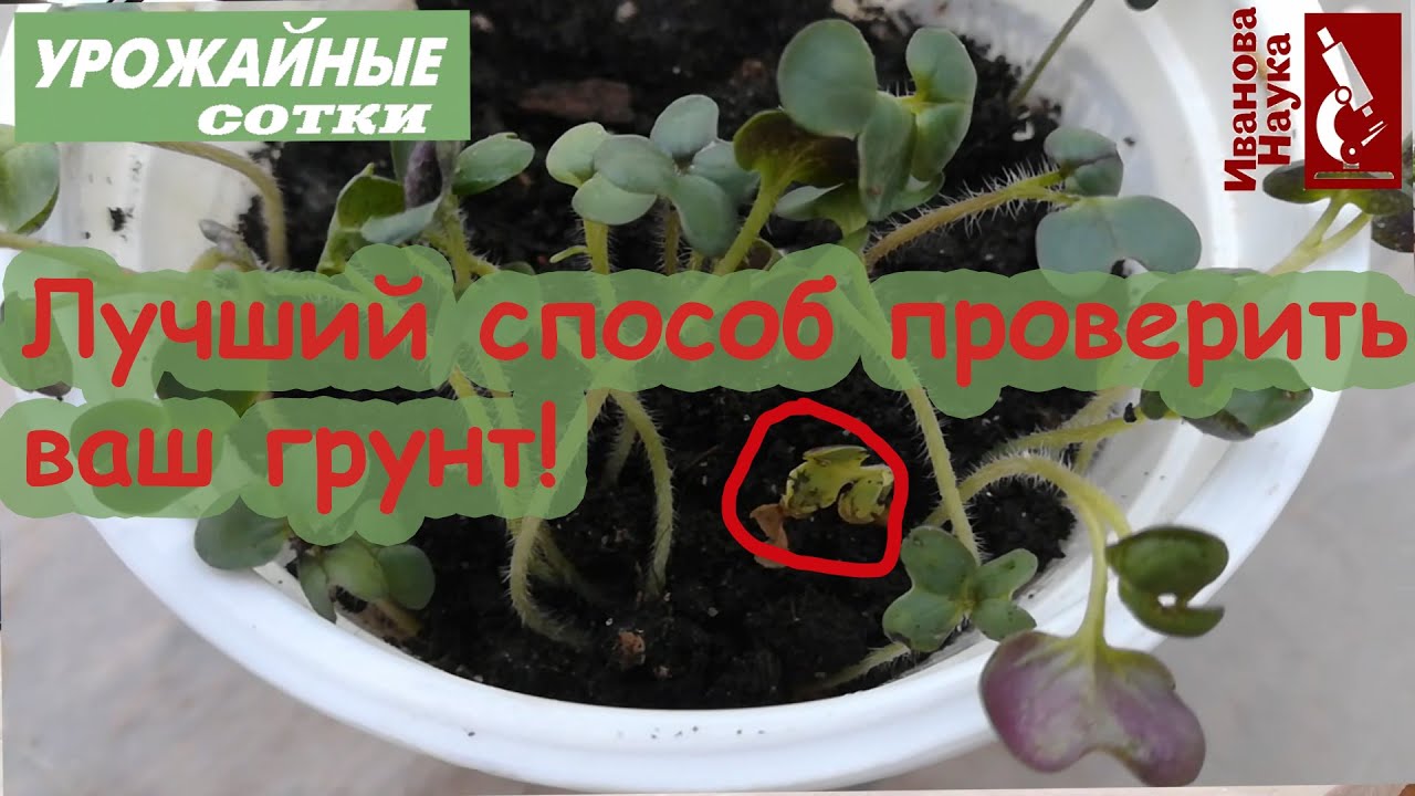 Самый эффективный способ проверки безопасности грунта! Настолько просто, что доступно всем!