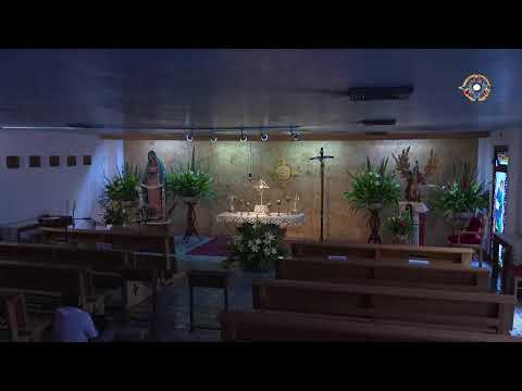 Cadena de Amor | Desde Zapopan, Jalisco, México.