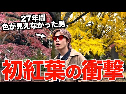 【感動】27年間色が見えなかったやまとに色盲メガネプレゼントして紅葉見に行ったら衝撃的な結末に...