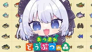 【雑談｜どうぶつの森】お休み中はマイル集めと島クリにハマっていました！【あおい配信 】