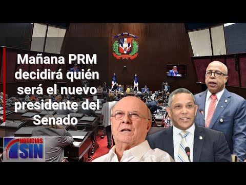 Insisten en que nuevo presidente del Senado debe ser alguien del PRM