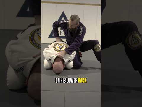 The Owl Kills the Turtle! #bjj #bjjmoves #jiujitsu