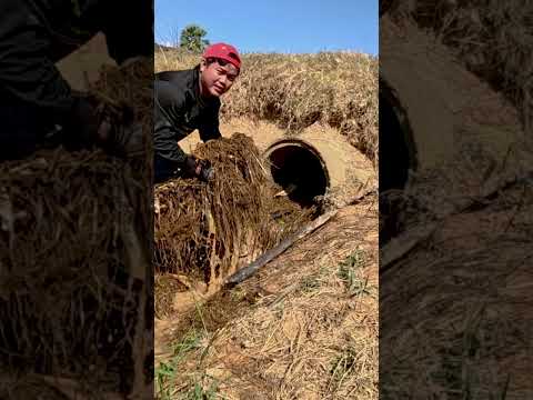 Extreme Roadside Cleanup – Full Power!