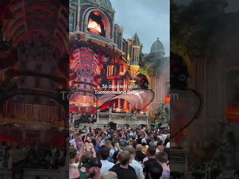36 days left until Tomorrowland Belgium.