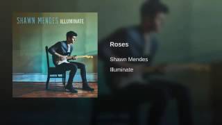 Roses oficial shawn mendes
