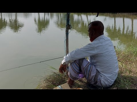 আরিফ ভাইয়ের পুকুরে আগামী মাছ শিকারের জন্য টেস্ট ফিশিং চলছে 🎣
