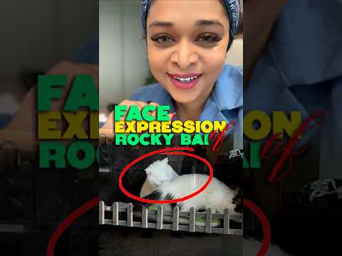 เดฑเตเดเตเดเดฟ เดญเดพเดฏเต เดเดฆเตเดฏเดฎเดพเดฏเดฟ เดฒเดฟเดธเดฏเต เดเดฃเตเดเดชเตเดชเตเตพโฆ เด เดฎเตเดเดญเดพเดตเด เดเดฃเตเดเต? ๐ป๐ฅ#trending #shorts #viral #cat