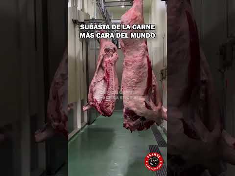 Subasta de la carne mas cara del mundo: carne KOBE #feedlot #ganaderia #carne #kobe #toros