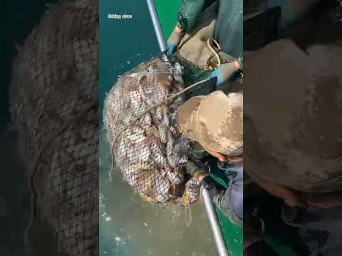 ٣ مارس ٢٠٢٦