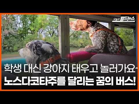 [오늘의 세계] 학생 대신 강아지 태우고 놀러가요~... 노스다코타주를 달리는 꿈의 버스! / OBS 오늘의 월드뉴스