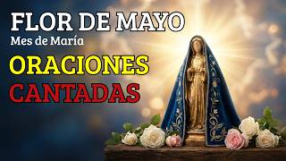 Reina del Cielo, Flor de Mayo 🌹 Oraciones para el Mes de María 🌹 Consuelo Divino en Cada Melodía