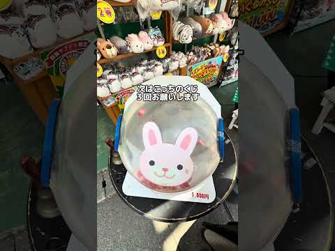 本当に欲しい景品があったので、自称めちゃくちゃ運のいいお姉さんに代理で引いてもらいました。その結果に会場のすべての人が泣いた #クレーンゲーム #一番くじ #くじ引き #群馬