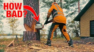 Taking Down a Tall Pine Beside a Historic Church