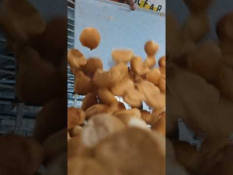 bakery business #ytshort #shorts