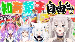 ホロメンが全力でつくった知育菓子を見てくれ！！ #ししろんのゴールデンなウィーク ④【獅白ぼたん/ホロライブ】