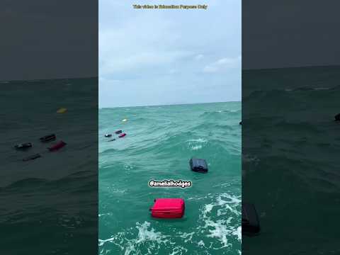 Luggage Fell Into the Ocean 😅 #shortsvideos (Credit - @amelialhodges)