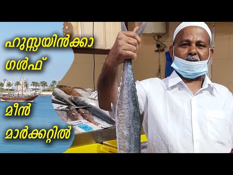 ഗൾഫ് ഫിഷ് മാർക്കറ്റിൽ കിട്ടുന്ന മീനുകൾ  | Fish market exploring | Kingfish & Salmon fish