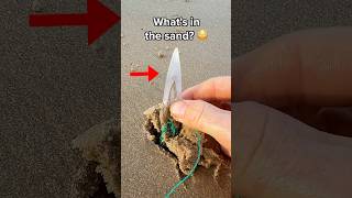 Don’t walk on this! 😲