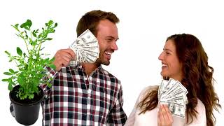 Consejos para llamar al DINERO con Ruda