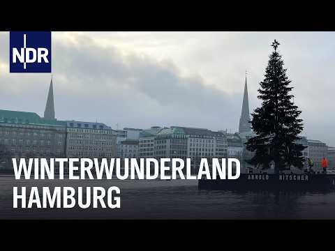 Alstertanne & Co.: Hamburg in Weihnachtsstimmung | Die Nordreportage | NDR Doku