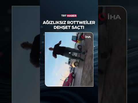 24 октября 2025 г.