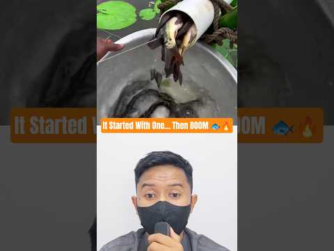 From Zero to Fish Explosion⁉️ RuralFishingBD