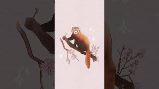 A cute red panda drawing!! 🐼🍁 #redpandadrawing #cuteart #digitalartist #animalartist #kritadrawing