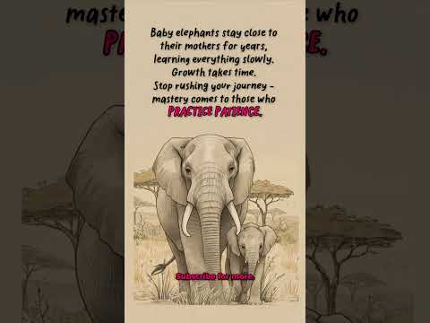 Patience...#shorts #motivation #nature #wildlife