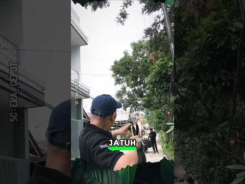 Akurasi Yang Tepat. Memetik Tanpa Harus Memanjat #shorts #buah #panen