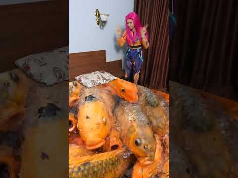 Koi Fish Aquarium Bed 🐟