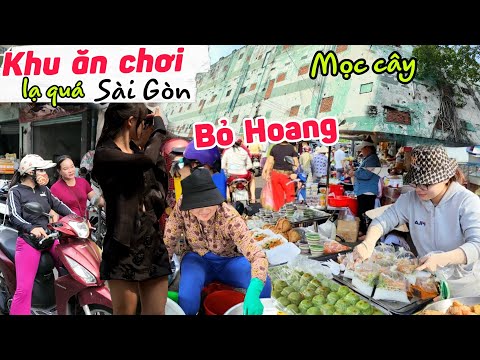 Kinh khủng khu ăn chơi Sài Gòn giờ bỏ hoang mọc cây cổ thụ - Gặp khó chợ Xóm Củi