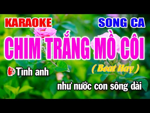 Chim Trắng Mồ Côi Karaoke Nhạc Sống Song Ca | Làng Hoa